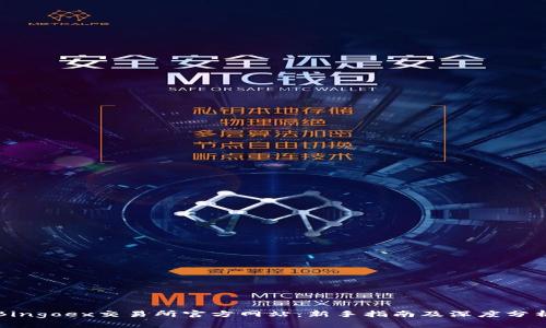 Bingoex交易所官方网站：新手指南及深度分析