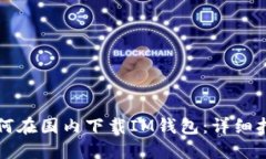 如何在国内下载IM钱包：详细指南