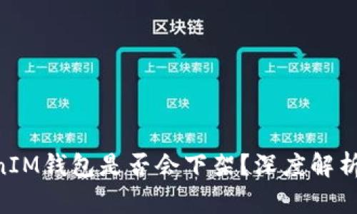 TokenTokenIM钱包是否会下架?深度解析与未来展望