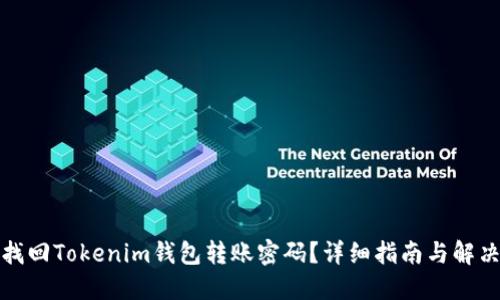 如何找回Tokenim钱包转账密码？详细指南与解决方案
