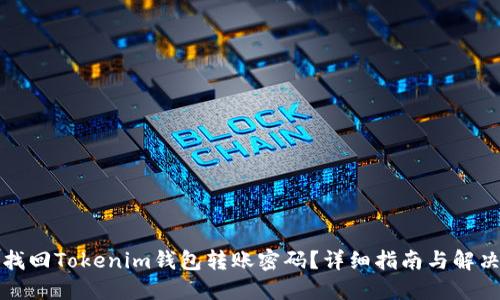 如何找回Tokenim钱包转账密码？详细指南与解决方案