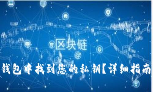 如何在Tokenim钱包中找到您的私钥？详细指南与常见问题解答