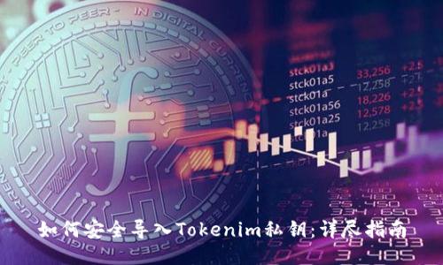 如何安全导入Tokenim私钥：详尽指南