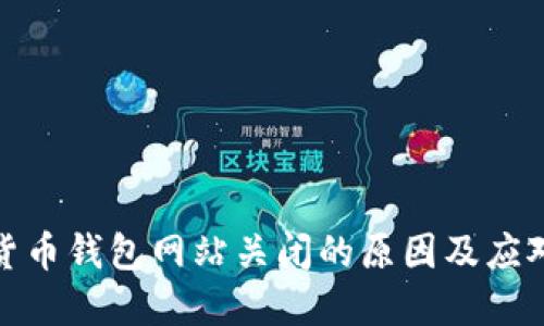 数字货币钱包网站关闭的原因及应对策略