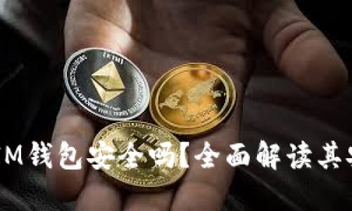 TokenTokenIM钱包安全吗？全面解读其安全性与风险