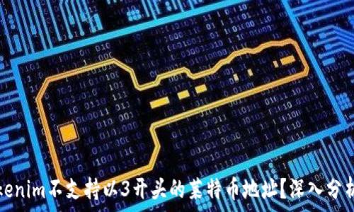   
为何Tokenim不支持以3开头的莱特币地址？深入分析和解读