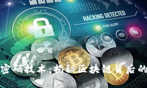 数字货币密码技术：揭秘区块链背后的安全力量