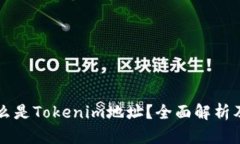 ### 什么是Tokenim地址？全面解析及应用介绍