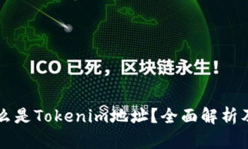 ### 什么是Tokenim地址？全面解析及应用介绍