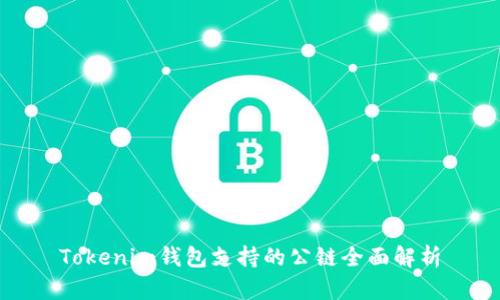Tokenim钱包支持的公链全面解析