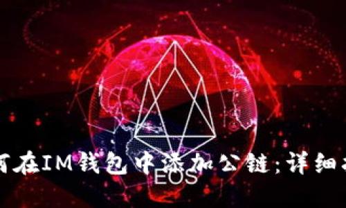如何在IM钱包中添加公链：详细指南