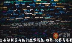 全面解析国内热门数字钱包：功能、优势与选择