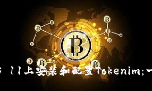 如何在iOS 11上安装和配置Tokenim：一步步详解