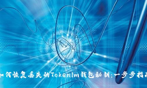 如何恢复丢失的Tokenim钱包秘钥：一步步指南
