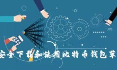 如何安全下载和使用比特币钱包苹果版？