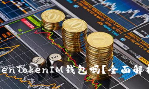 火币支持TokenTokenIM钱包吗？全面解析与使用指南