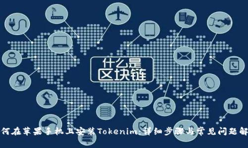 如何在苹果手机上安装Tokenim：详细步骤与常见问题解答