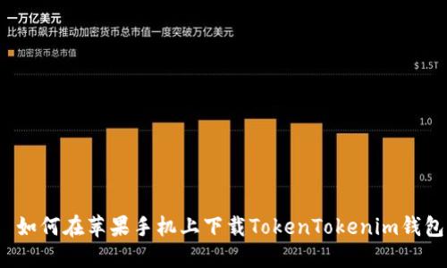  如何在苹果手机上下载TokenTokenim钱包