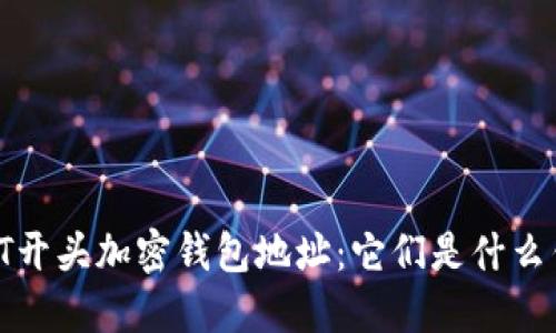 揭秘T开头加密钱包地址：它们是什么钱包？