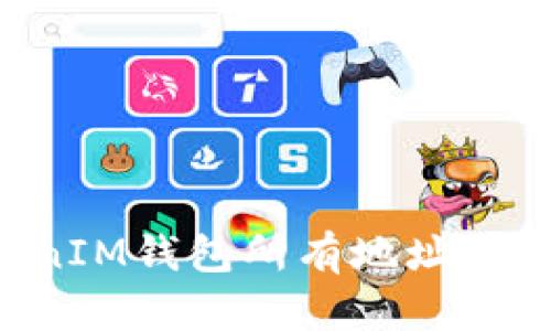 : TokenTokenIM钱包所有地址详解及使用指南