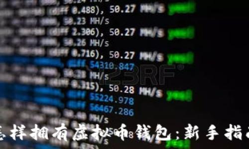   
怎样拥有虚拟币钱包：新手指南