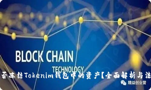 公安能否冻结Tokenim钱包中的资产？全面解析与法律依据
