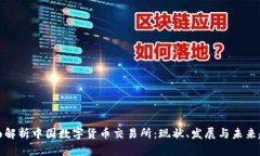 全面解析中国数字货币交易所：现状、发展与未