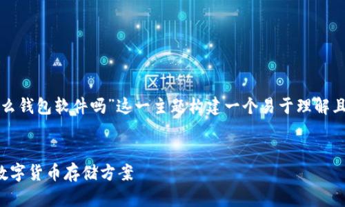 为了满足您的需求，我将为“虚拟币有什么钱包软件吗”这一主题构建一个易于理解且的、相关关键词以及详细的大纲和内容。

### 
虚拟币钱包软件揭秘：选择最适合你的数字货币存储方案