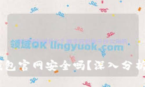  Tokenim钱包官网安全吗？深入分析与使用指南
