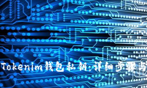 如何导入Tokenim钱包私钥：详细步骤与注意事项