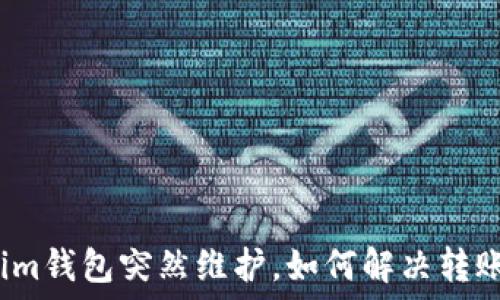   
Tokenim钱包突然维护，如何解决转账难题？