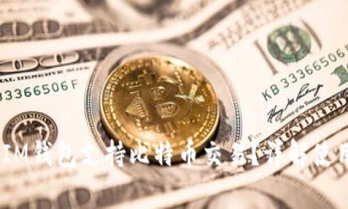 如何使用TokenTokenIM钱包支持比特币交易？详解使用指南与常见问题解答
