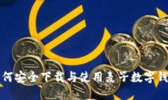 如何安全下载与使用麦子数字钱包
