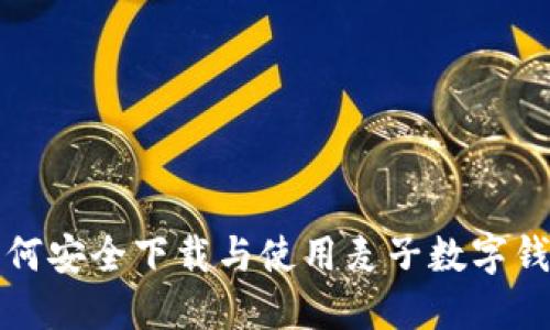 如何安全下载与使用麦子数字钱包