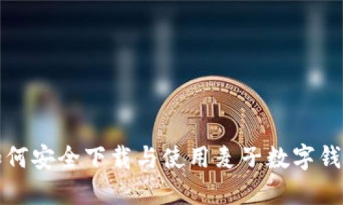 如何安全下载与使用麦子数字钱包