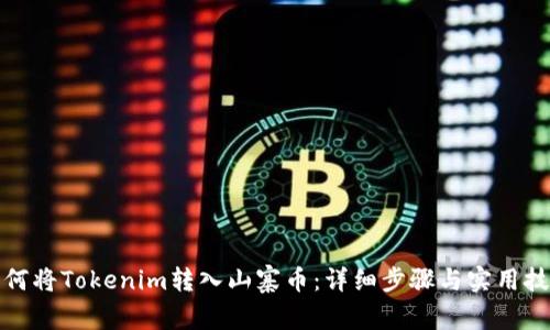 如何将Tokenim转入山寨币：详细步骤与实用技巧