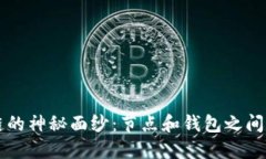 揭开区块链的神秘面纱：节点和钱包之间的微妙