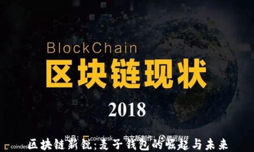 
区块链新锐：麦子钱包的崛起与未来