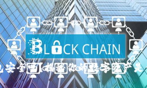 区块链钱包安全吗？揭秘你的数字资产是否会被盗走