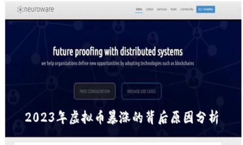 2023年虚拟币暴涨的背后原因分析