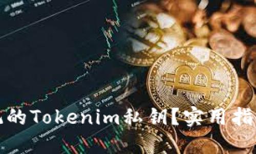 如何找回忘记的Tokenim私钥？实用指南和解决方案