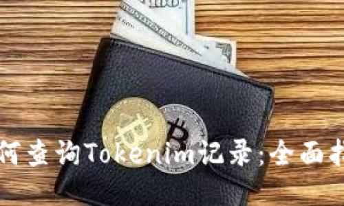 如何查询Tokenim记录：全面指南
