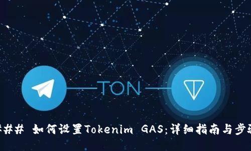 ### 如何设置Tokenim GAS：详细指南与步骤