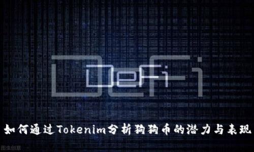 如何通过Tokenim分析狗狗币的潜力与表现