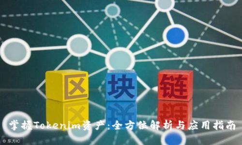 掌握Tokenim资产：全方位解析与应用指南