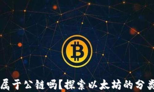 
以太坊属于公链吗？探索以太坊的分类与特点