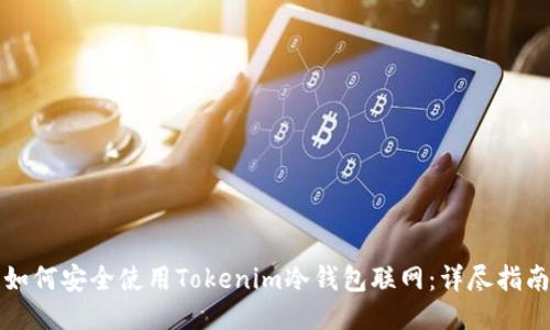 如何安全使用Tokenim冷钱包联网：详尽指南