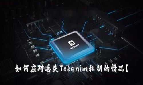 如何应对丢失Tokenim私钥的情况？