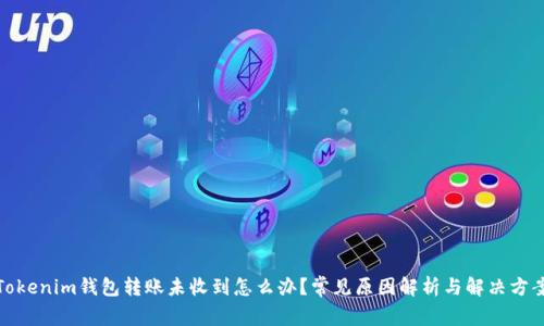 Tokenim钱包转账未收到怎么办？常见原因解析与解决方案