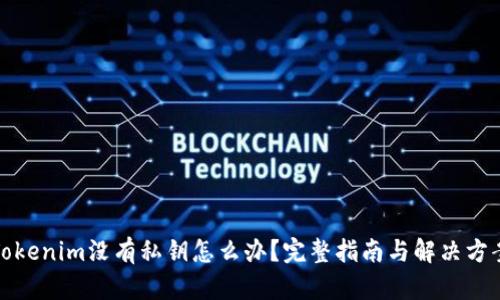 Tokenim没有私钥怎么办？完整指南与解决方案